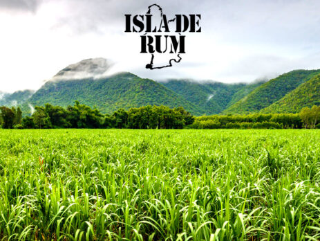 Provenienza e terroir del rum. La loro importanza. Denominazioni di origine del rum. Isla de Rum News e approfondimenti. A cura di Leonardo Pinto